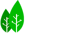 Строительство деревянных домов